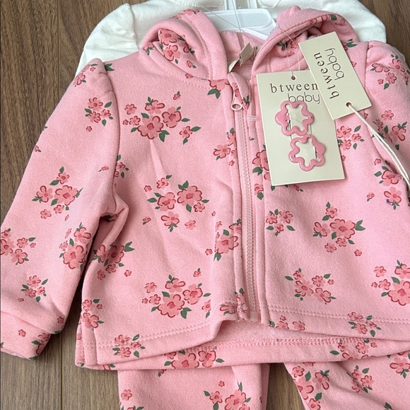 NWT 4 Piece Floral Baby Sweatsuit Set - Picture 3 of 4